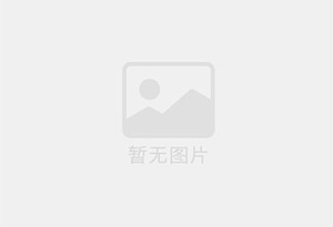 真康牌牛蒡酱